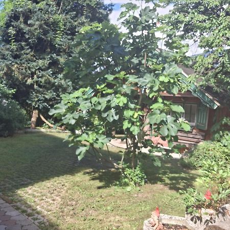 Ganzes Haus Mit Almcharakter Vila Lieserbrücke Exterior foto