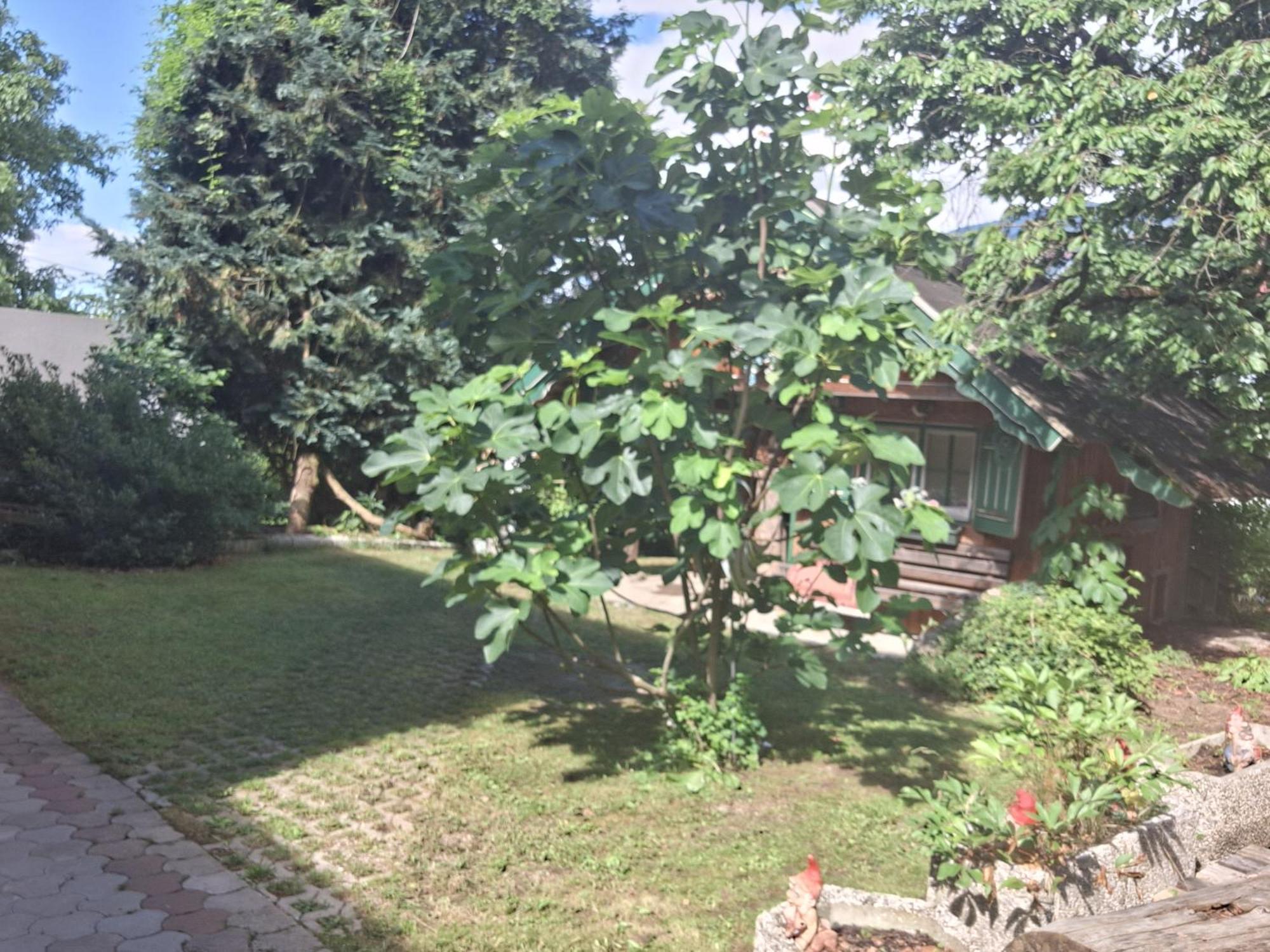 Ganzes Haus Mit Almcharakter Vila Lieserbrücke Exterior foto